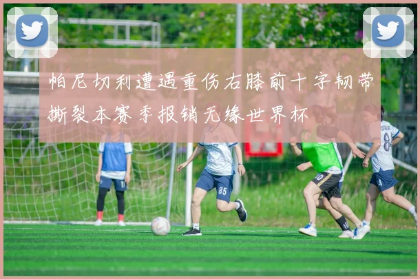 帕尼切利遭遇重伤右膝前十字韧带撕裂本赛季报销无缘世界杯