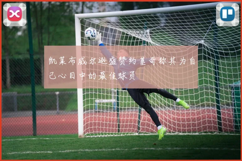 凯莱布威尔逊盛赞约基奇称其为自己心目中的最佳球员